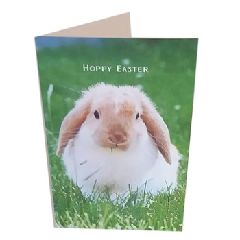 Bunny Hoppy Easter Pack Of 5 Cards