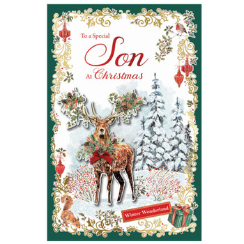 Winter Wonderland Wishes Design To a Special Son Christmas Card