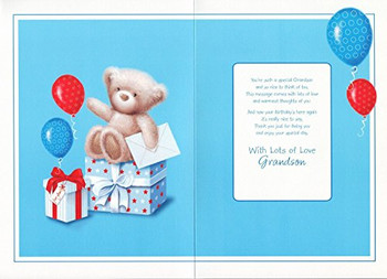 Grandson birthday Large card Cute