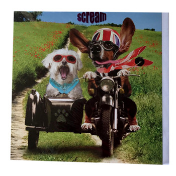 Life In Fast Lane Square Greeting Card Scream Animal Humour Photo Cards Blank