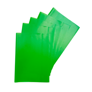 Pack of 10 A4 Frosted Green Exercise Book Covers Pack of 10 A4 Frosted Green Exercise Book Covers