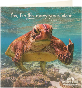 The Comedy Wildlife Angry Turtle Blank Inside Birthday Card