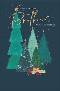 For A Special Brother Traditional Foiled Christmas Card