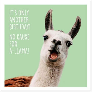 Zoo-LOL-ogy Its only Another Birthday! No Cause for A-Llama Humorous Birthday Card