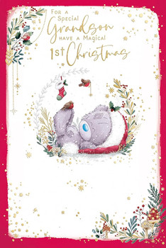 Bear With Robins Grandson's First Christmas Card