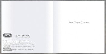 Pack of 8 Santa Climbing The Chimney RSPCA Charity Christmas Cards