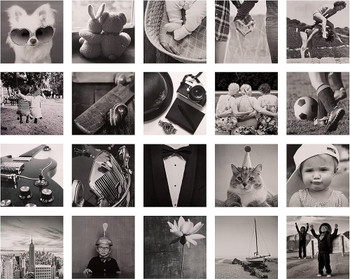 Monochrome Photographic Multipack of 20 in 20 Designs Blank Cards