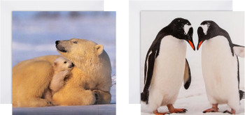 National Geographic Pack of 16 in 2 Designs Christmas Cards