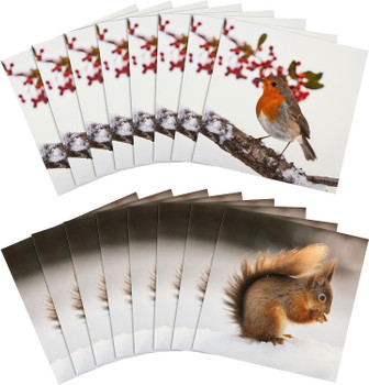 Pack of 16 in 2 National Geographic Designs Christmas Cards