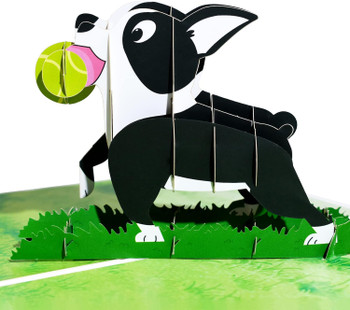 Ball and Grass Scene Boston Terrier Dog 3D Pop Up Greeting Card