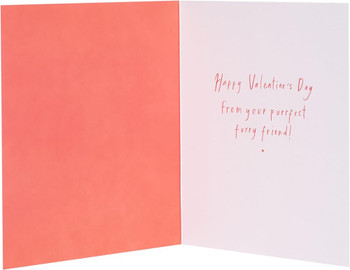 From the Cat With Heart Valentine's Day Card