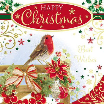 Pack of 10 Festive Robin Christmas Boxed Cards - Holiday Greeting Cards, 2 Designs with Envelopes
