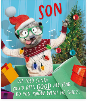 Funny Meerkat Design Son Christmas Card