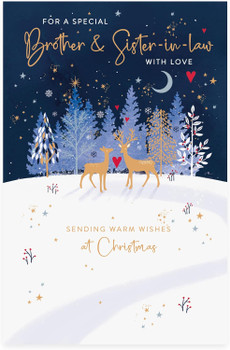 Winter Scene Reindeers Design Brother & Sister in law Christmas Card