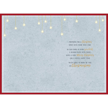 Penguins Stood on Moon Granddaughter & Partner Christmas Card