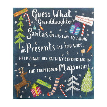 Granddaughter Christmas Card 'Activity'