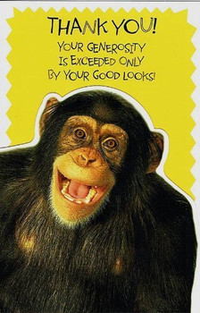 Hanson White Thank You Greetings Card Chimpanzee 8.25" x 5.25" Code 344355--1