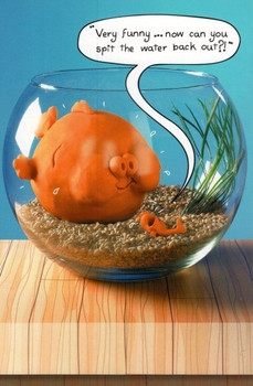Funny Goldfish Bowl Birthday Card Humour Greeting Cards Out Of The Ark
