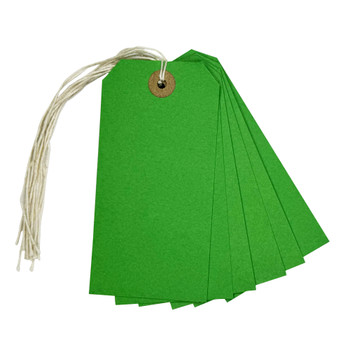 Box of 1000 Green Strung Tags 120mm x 60mm