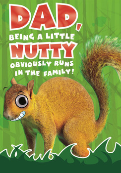 Hallmark Dad Birthday Card "Little Nutty"  Medium
