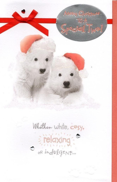 To A Special Two Christmas Greeting Card Talk To The Paw Xmas Cards