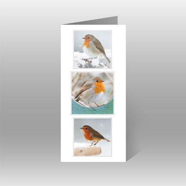 Pack of 6 Quality Charity Christmas Cards Trio of Robins