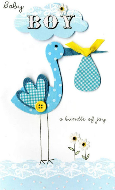 Birth Baby Boy Blue Stork Handmade card by Second Nature