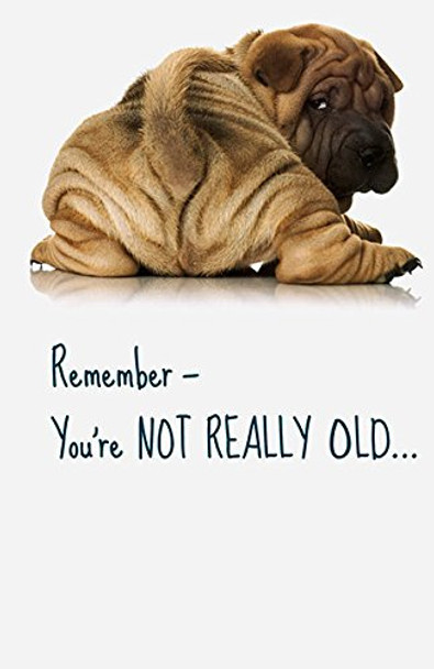 Remember Dog Humour Card