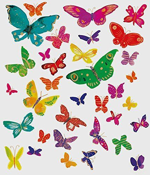 Multicoloured Butterfly Blank Card