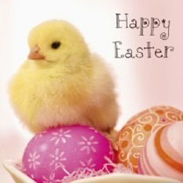 Happy Easter Yellow Chick & Eggs New Uk Greeting Card [5 Easter cards]