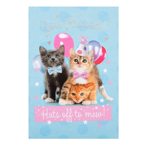 Hallmark Exams Congratulation Cat Greeting Card "You Passed" Medium
