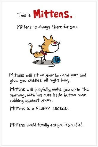 This Is Mittens Happy Birthday Humour Funny Card
