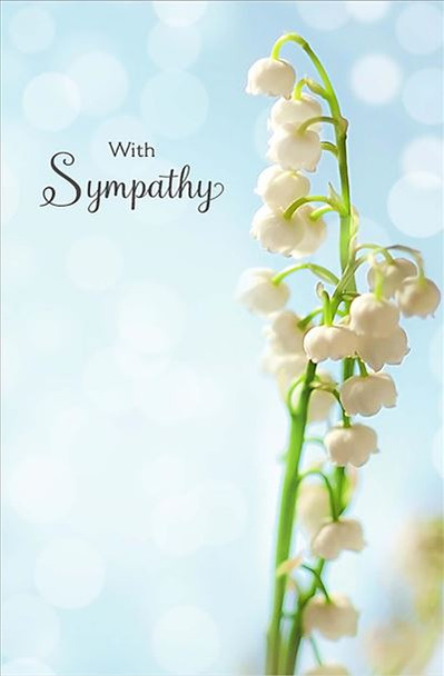 6 x Thinking of You Sympathy Sorry for your Loss Bereavement Condolences Cards 6065249