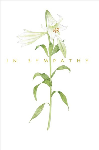 6 x Sympathy Card Sorry for your Loss Card Condolences Cards 530927 x 6