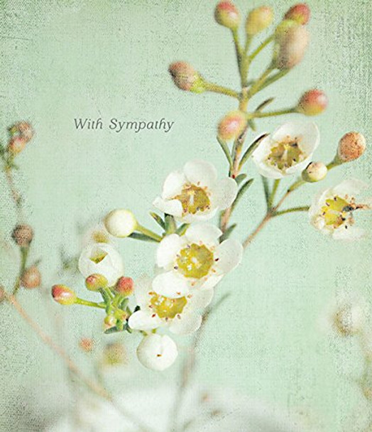 6 x White Freesia Blank Sympathy Modern New Cards Condolences