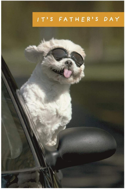 Its Father's Day Card Funny Dog in Car