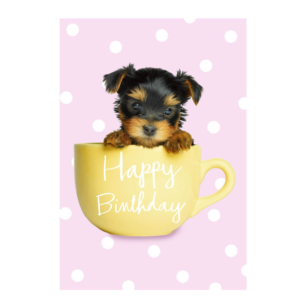 For Female Cutest Photographic Design Birthday Card