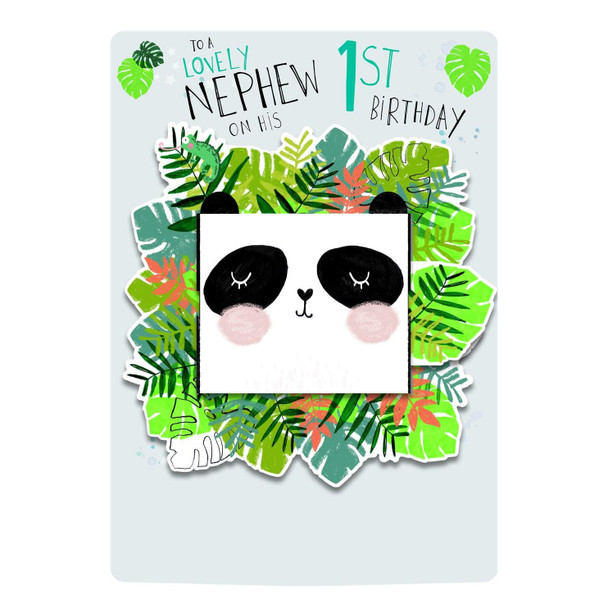 To a Lovely Nephew Cute Panda Design 1st Birthday Card