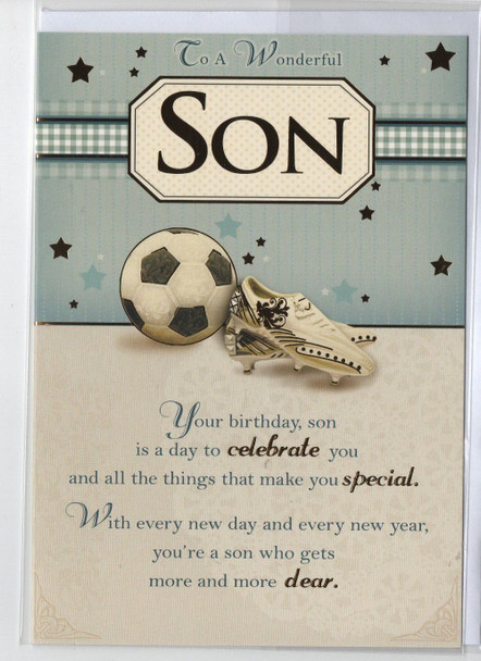 To a Wonderful Son Birthday Card