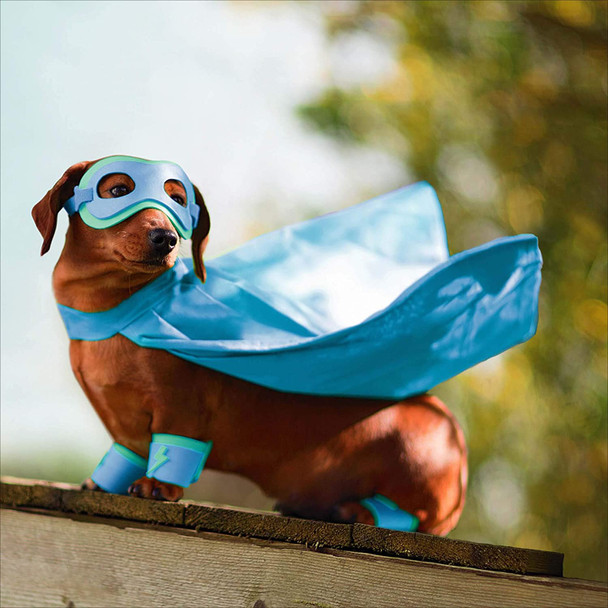 Dog Wearing Superhero Cape Open And Blank Greeting Card
