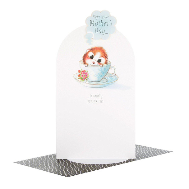 Adorable 3D Mother's Day Card 'Terrific' 
