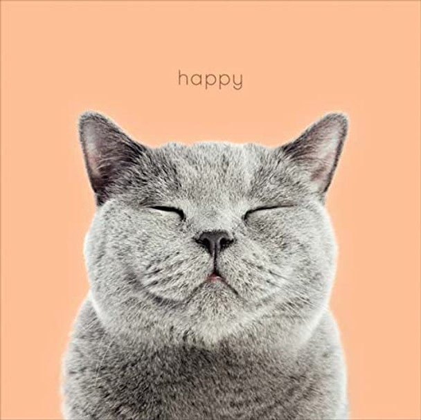 Cute Smiling Cat Blank Birthday Card