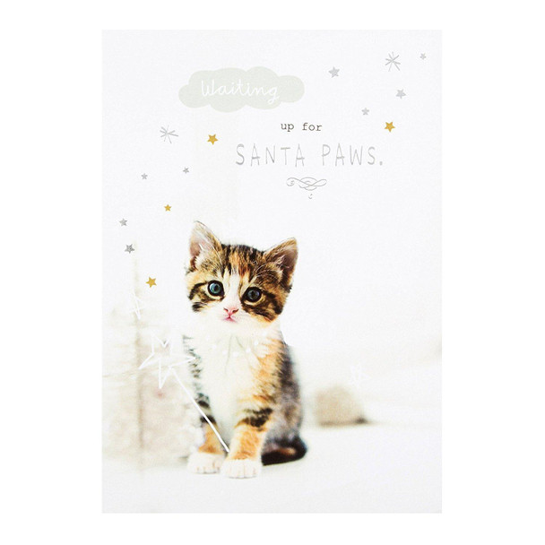 Hallmark cute Kitten (Cat) Christmas Card 'Santa Paws'- Medium New