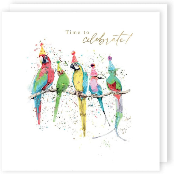 Animal Trail 'Parrots With Hats' Time to celebrate! Birthday Card