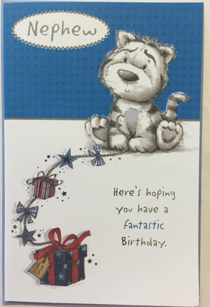 Happy Birthday Nephew Greetings Card