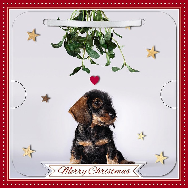 Dog With Mistletoe Photographic 3D Lenticular Merry Christmas Card with Detachable Keepsake