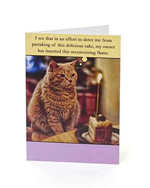 Funny Cat Birthday Cake Birthday Card