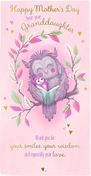 Owls Hugging From Granddaughter Mother's Day Card