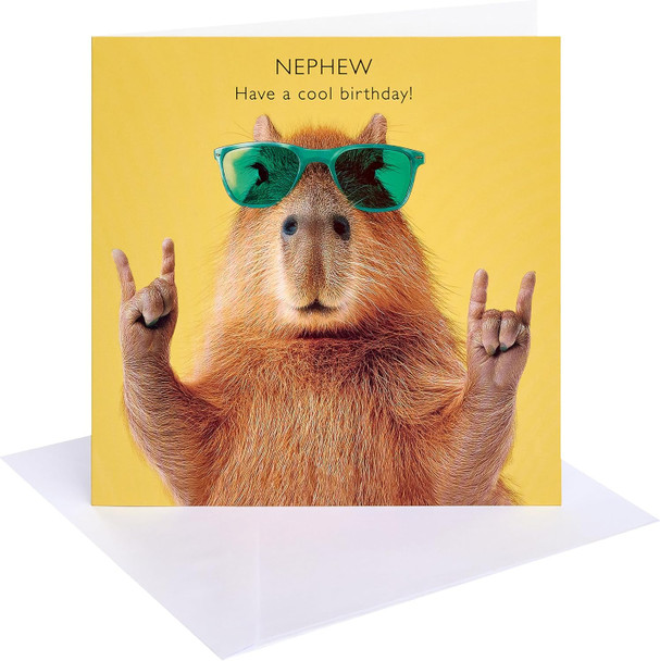 Capybara in Sunglasses Design Nephew Birthday Card
