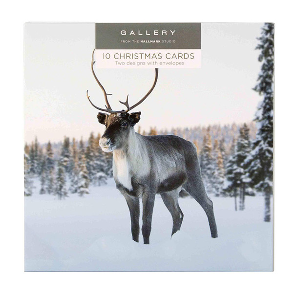 Hallmark Gallery Christmas Card Pack Snowy Scenes 10 Cards 2 Designs